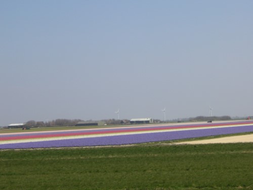 Natur Strand und Dünen