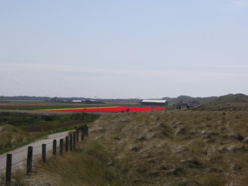 Radfahren Strand und Dünen