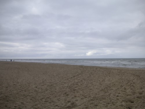 Meer bei Strand und Dünen