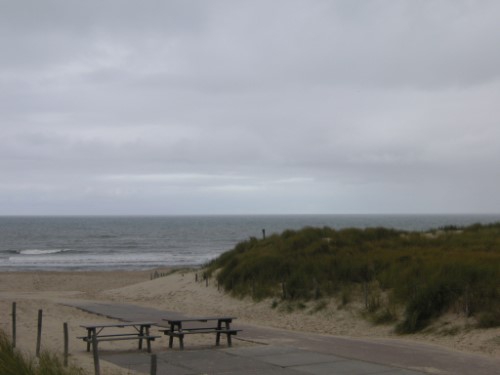 Meer Strand und Dünen